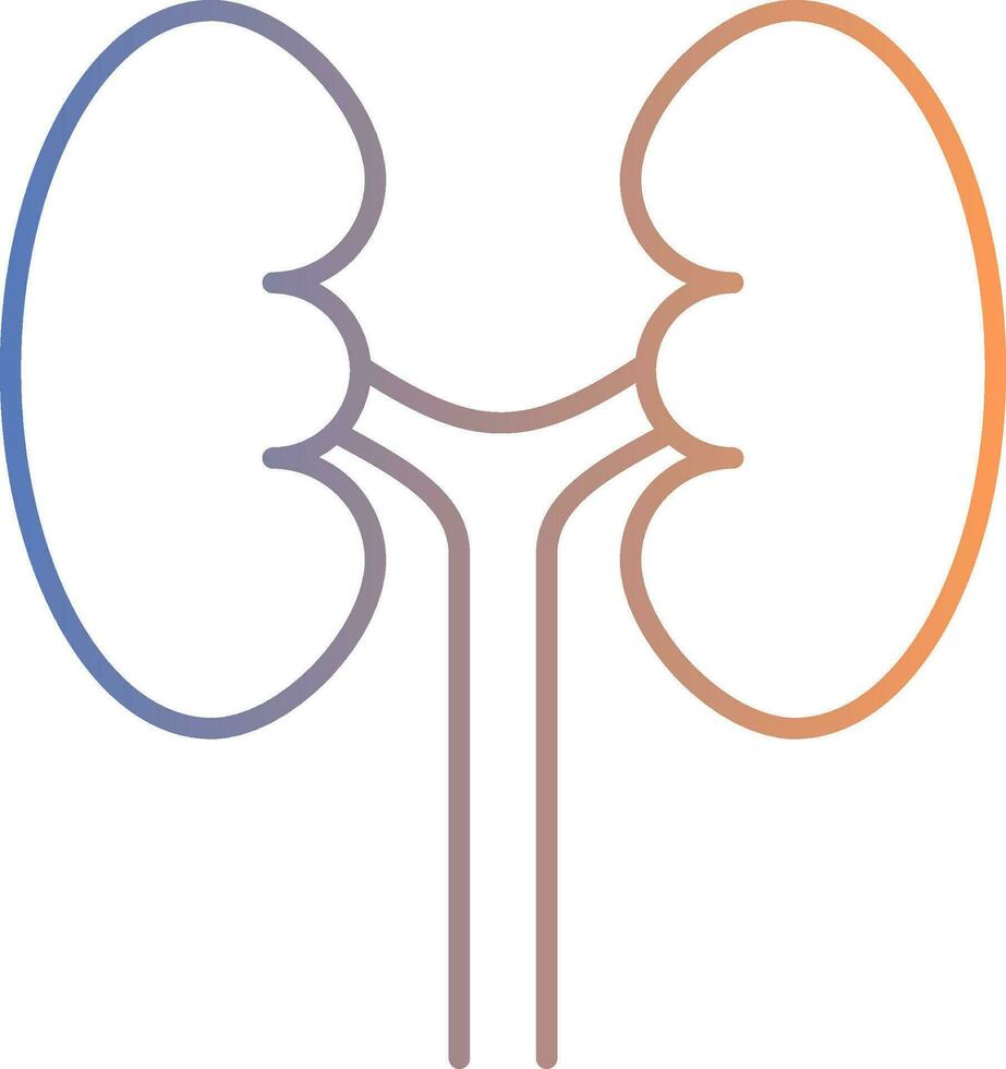Urology Line Gradient Icon vector