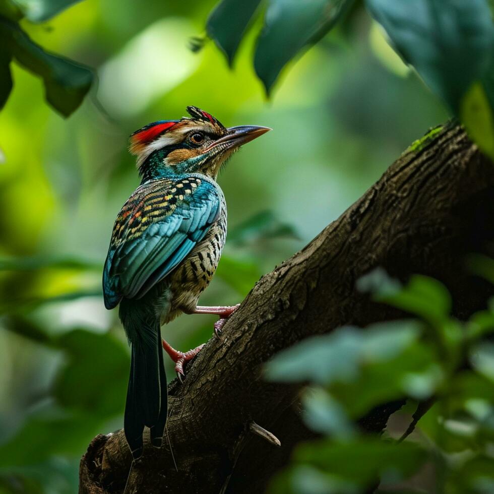 AI generated photograph of a beautiful colorful bird in the Amazon rainforest in Brazil photo