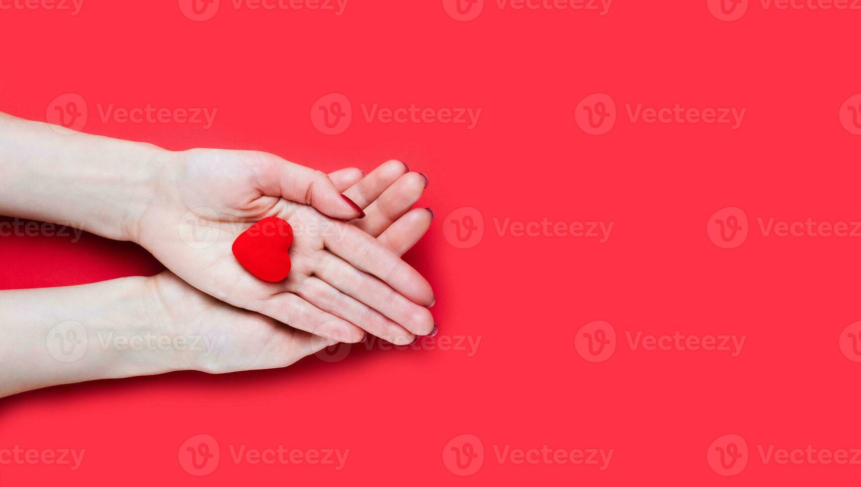 Females hands holds red heart on red background. Close-up. Top view. Place for text. photo
