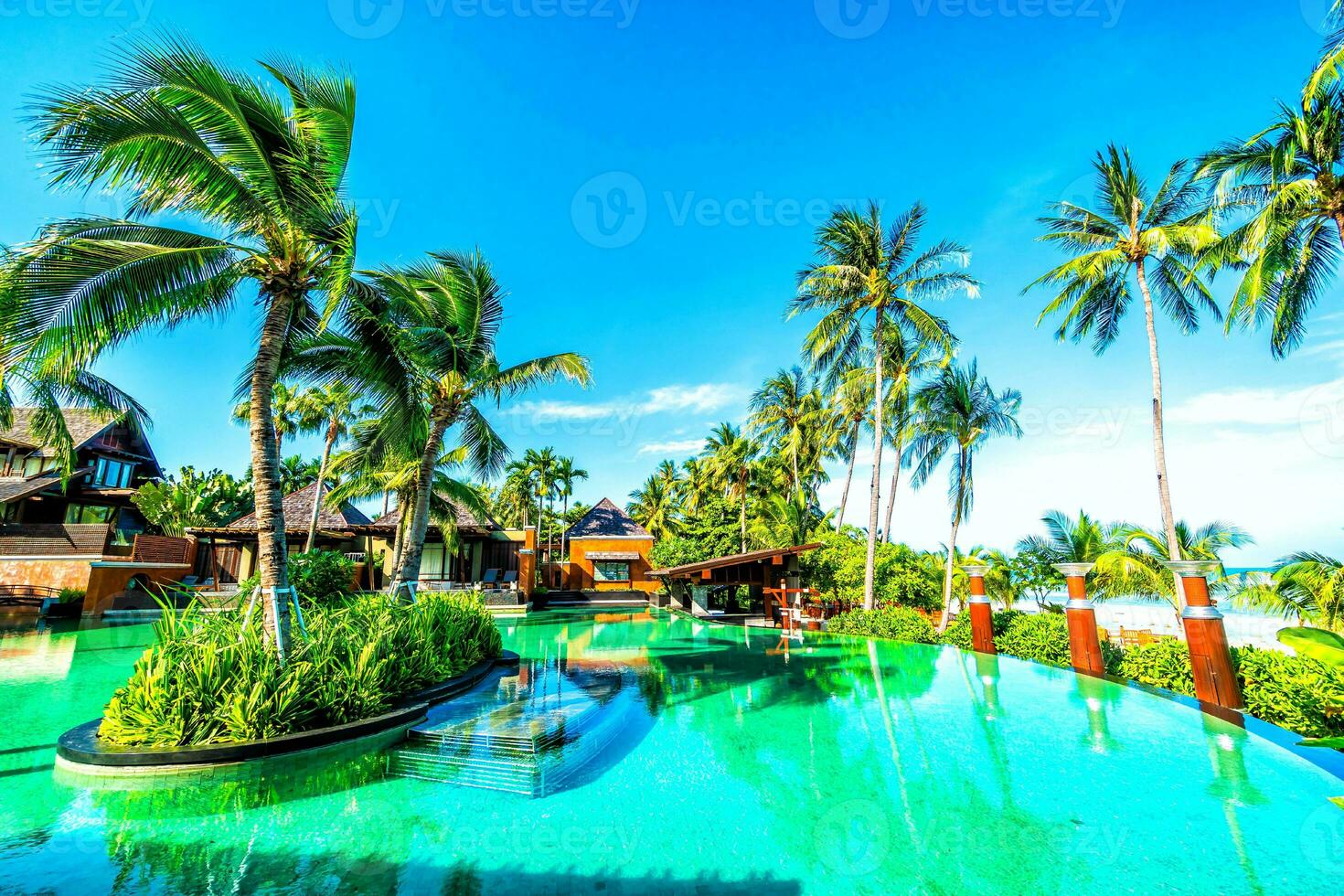 Beautiful outdoor swimming pool with coconut palm tree photo