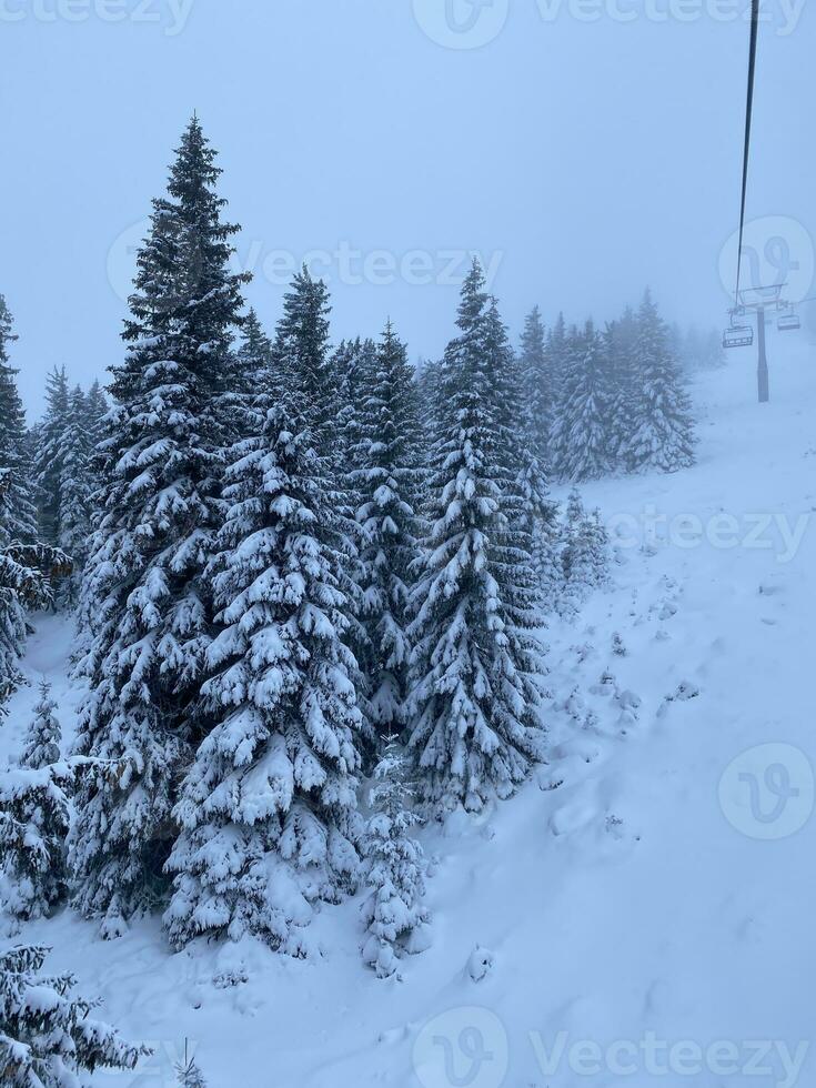 winter landscape with snowy mountains and trees Amazing winter background photo