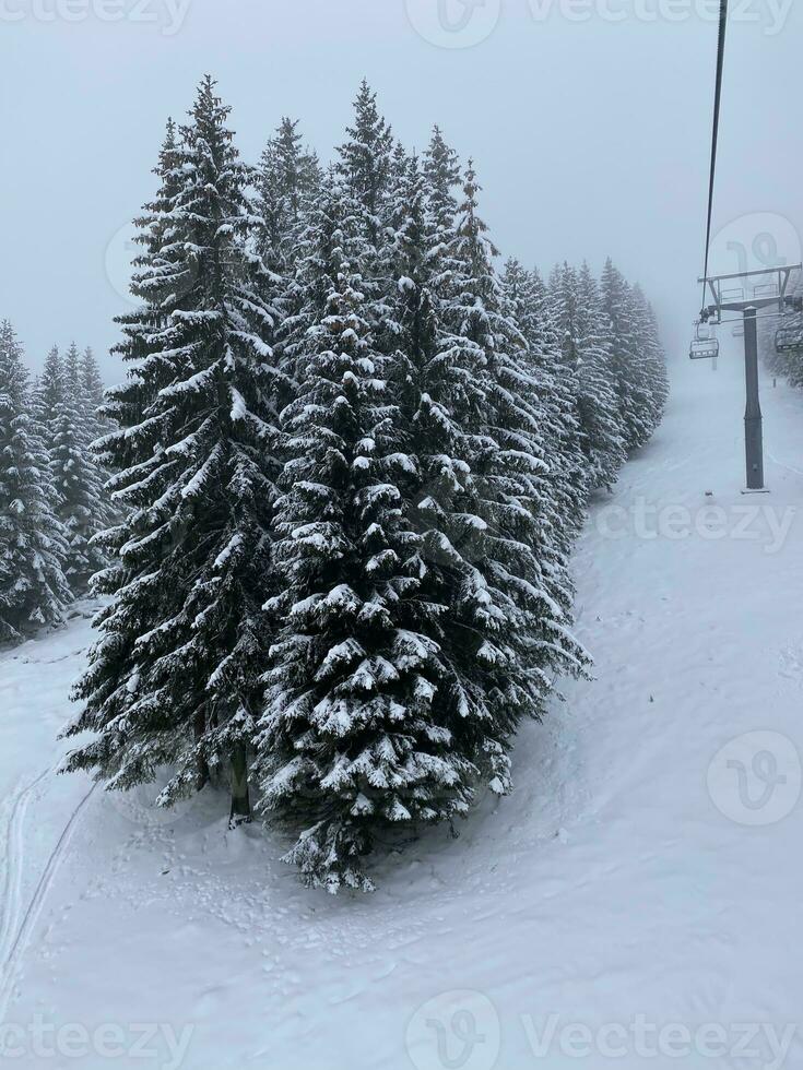 winter landscape with snowy mountains and trees Amazing winter background photo