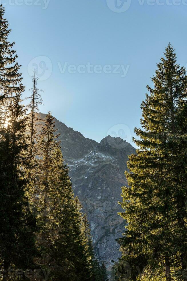Sun shining through the trees with a rocky mountain on the background photo