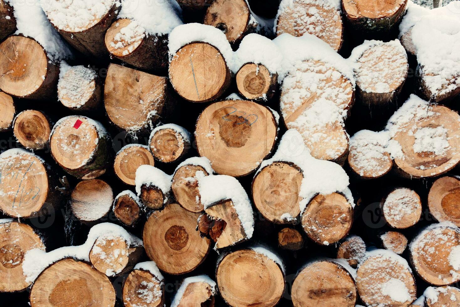 Pile of chopped wood covered with snow photo