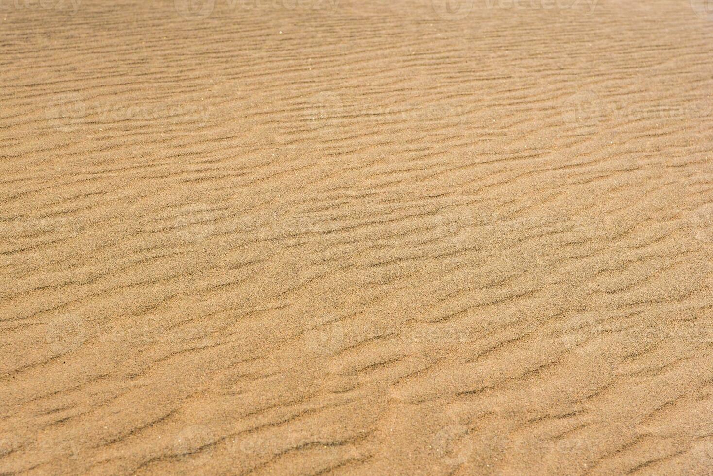 Desert sand pattern during the day light. wave sand parttern of the desert isolated. photo