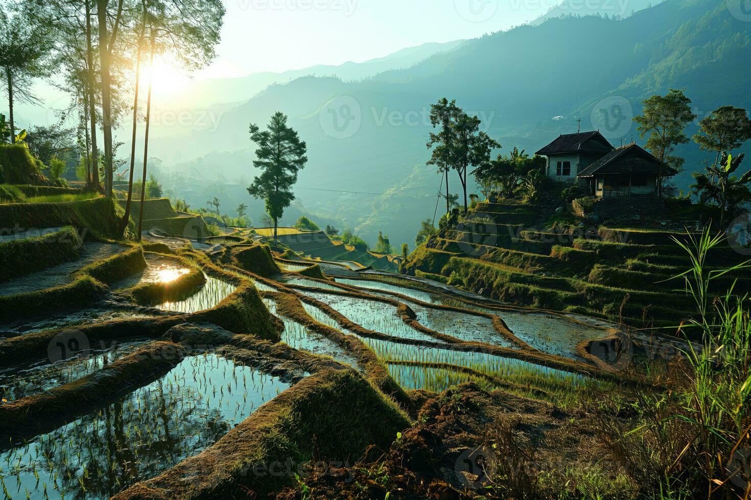 AI generated rural landscape with rice fields on mountain slopes photo