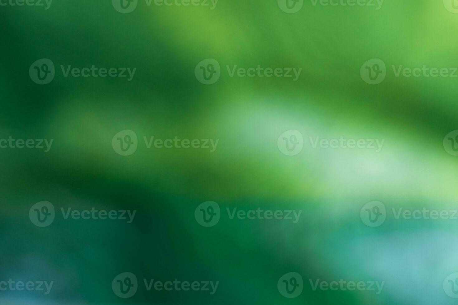 abstract blurred green background photo