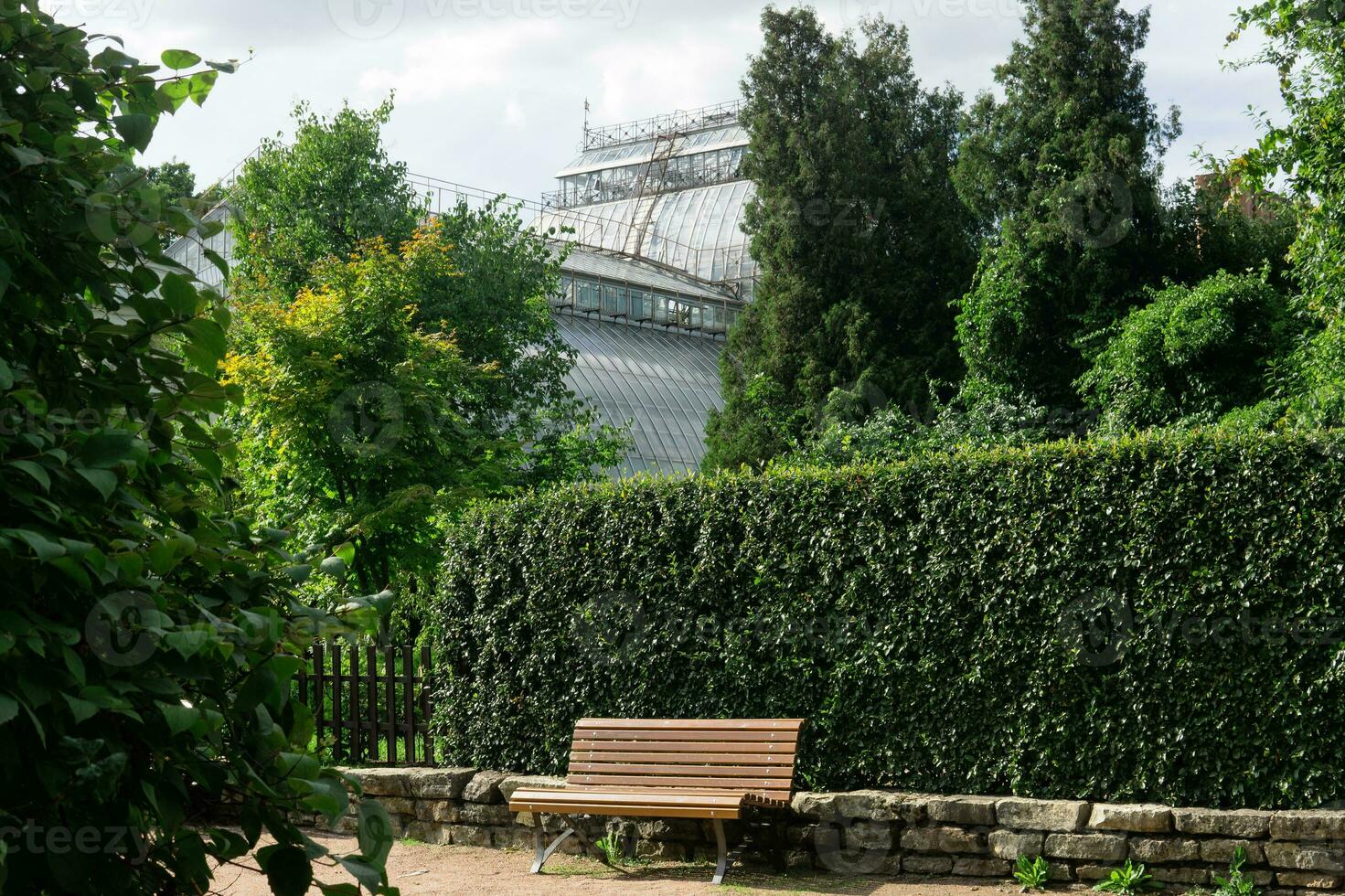 view of the Saint Petersburg Botanical Garden, a bench and a hedge against the background of ancient greenhouses photo