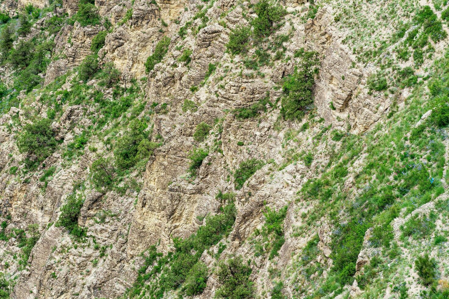 landscape of a mountain slope with weathered rocks and screes covered with shrubs photo