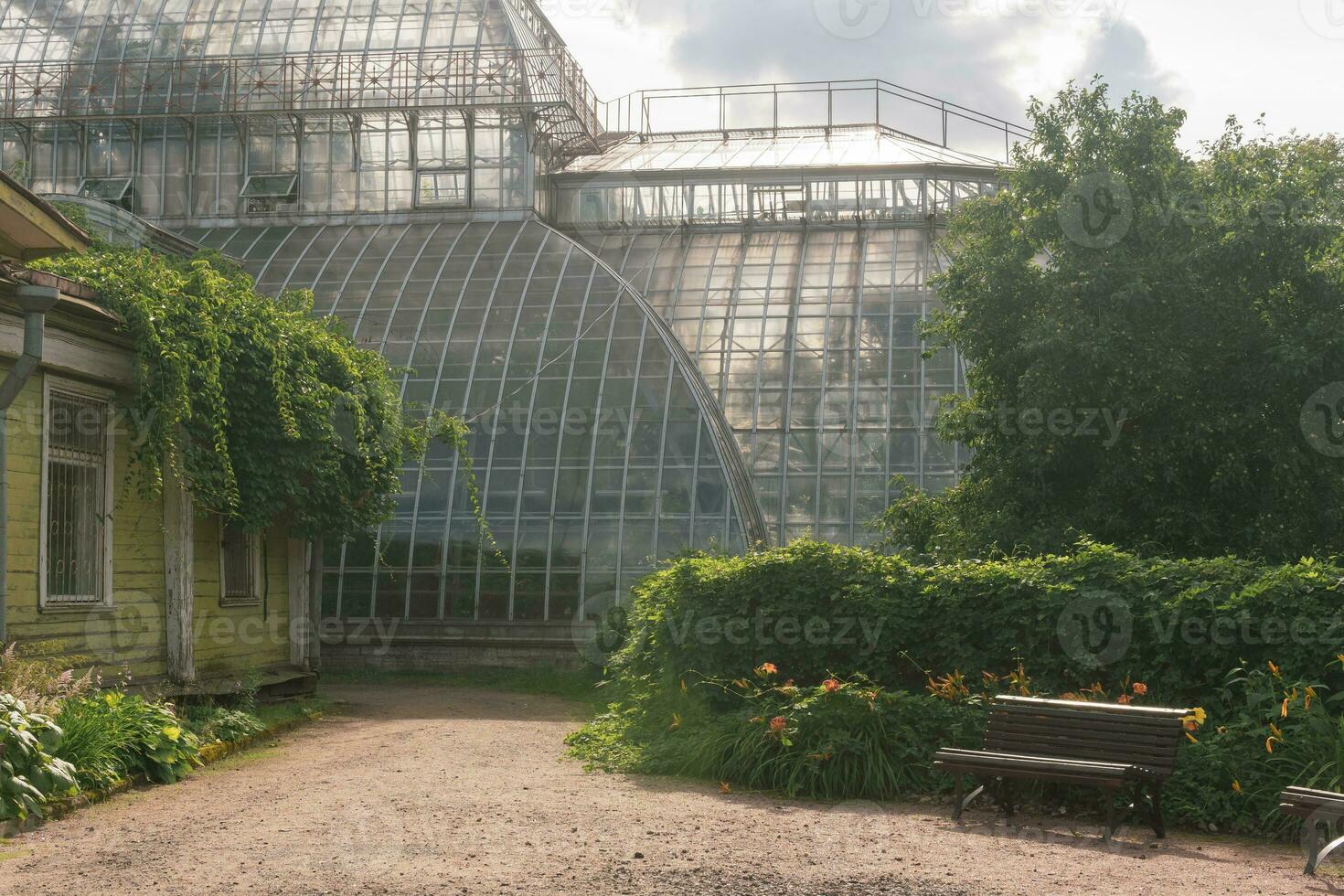 esquina de un antiguo botánico jardín con un enorme Clásico invernadero en el antecedentes foto