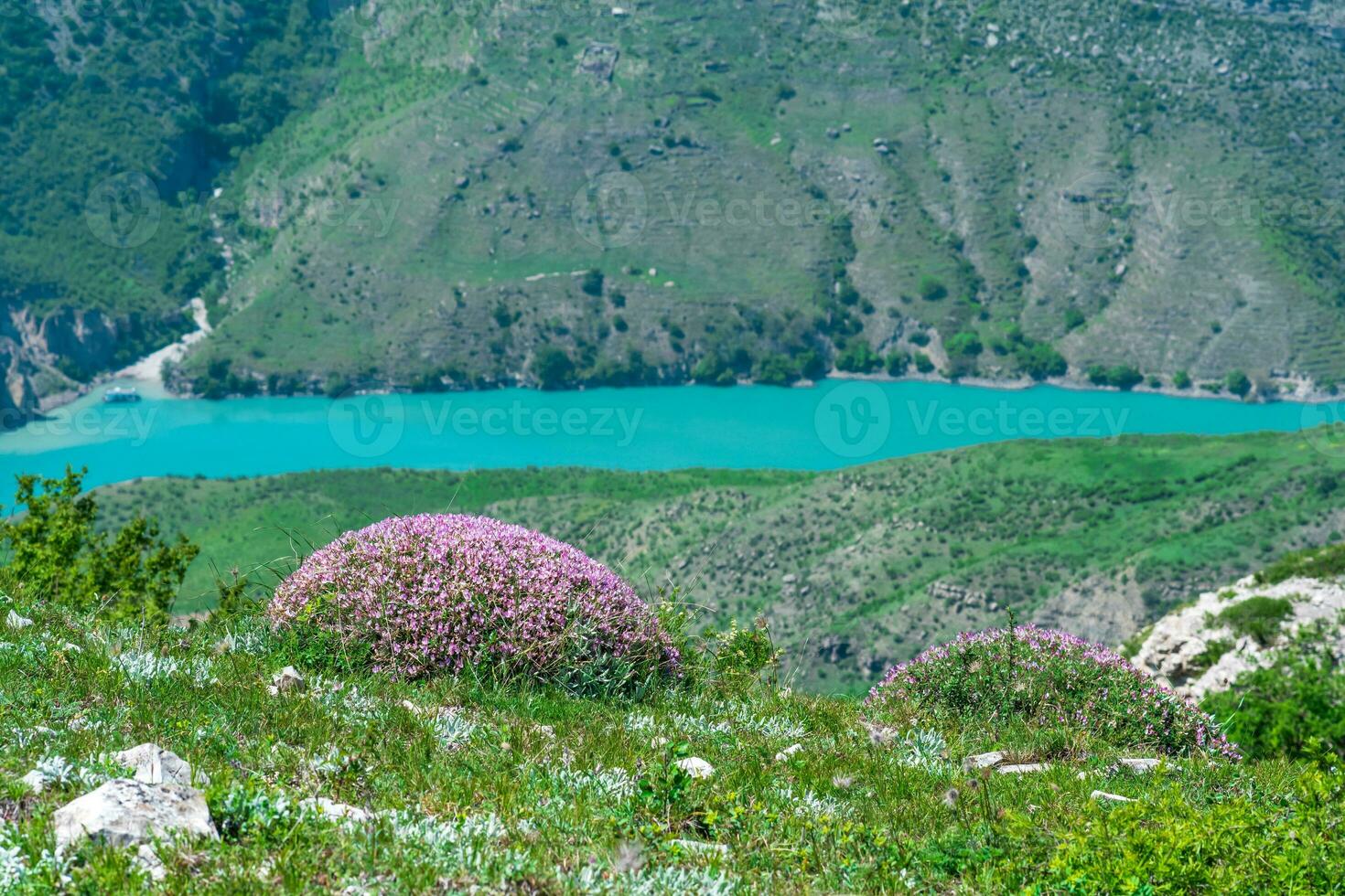 spring mountain landscape with blooming moss campion in the foreground and blurred blue river in the valley on the background photo