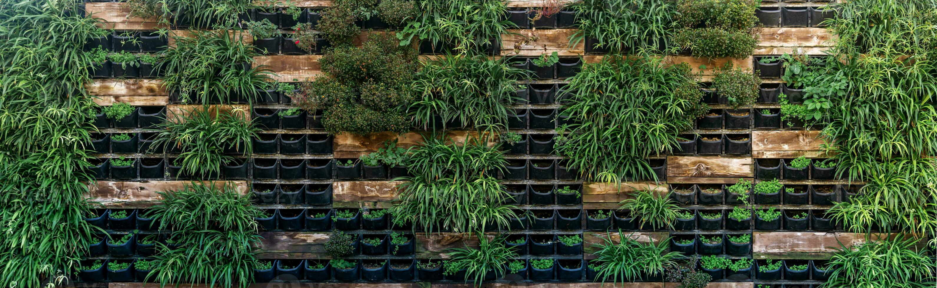 background - wall with vertical garden photo