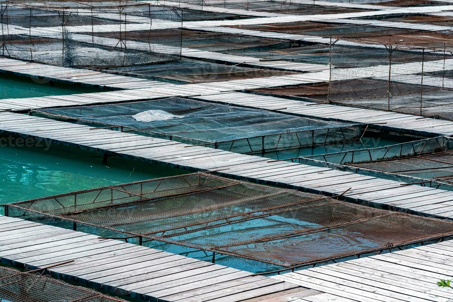aquaculture installations between wooden footbridges at a freshwater fish farm close-up photo
