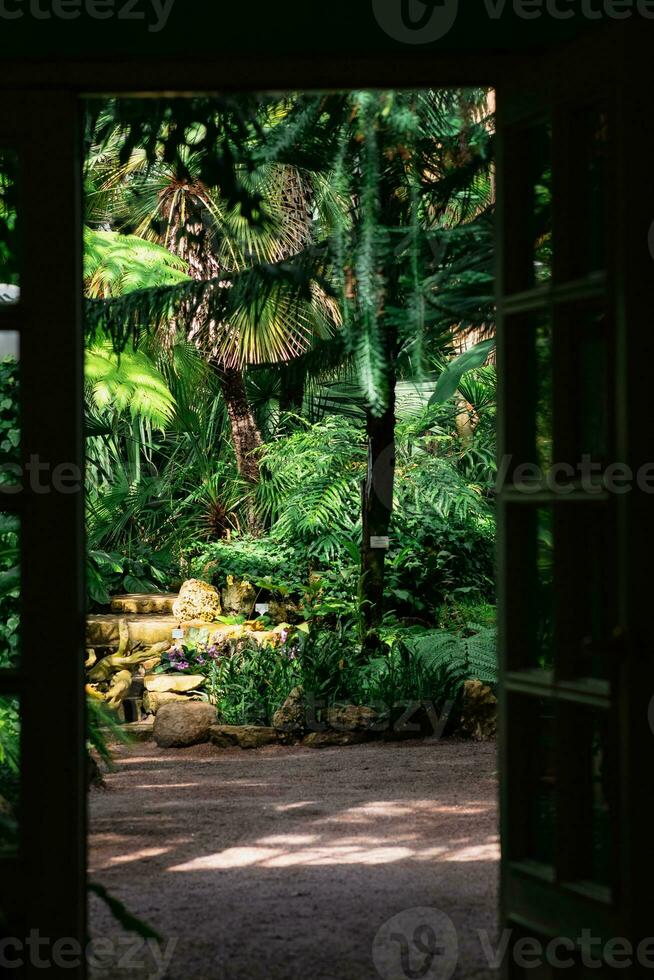 Entrada a un antiguo invernadero con un colección de tropical plantas foto