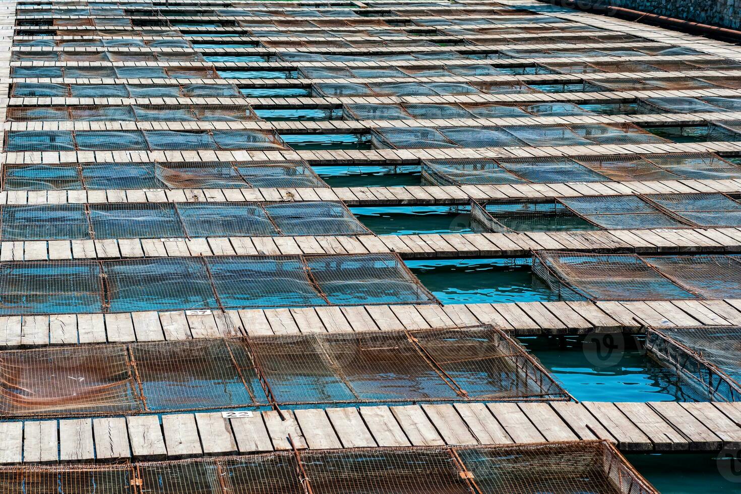 aquaculture installations with fish cages on a fish farm photo