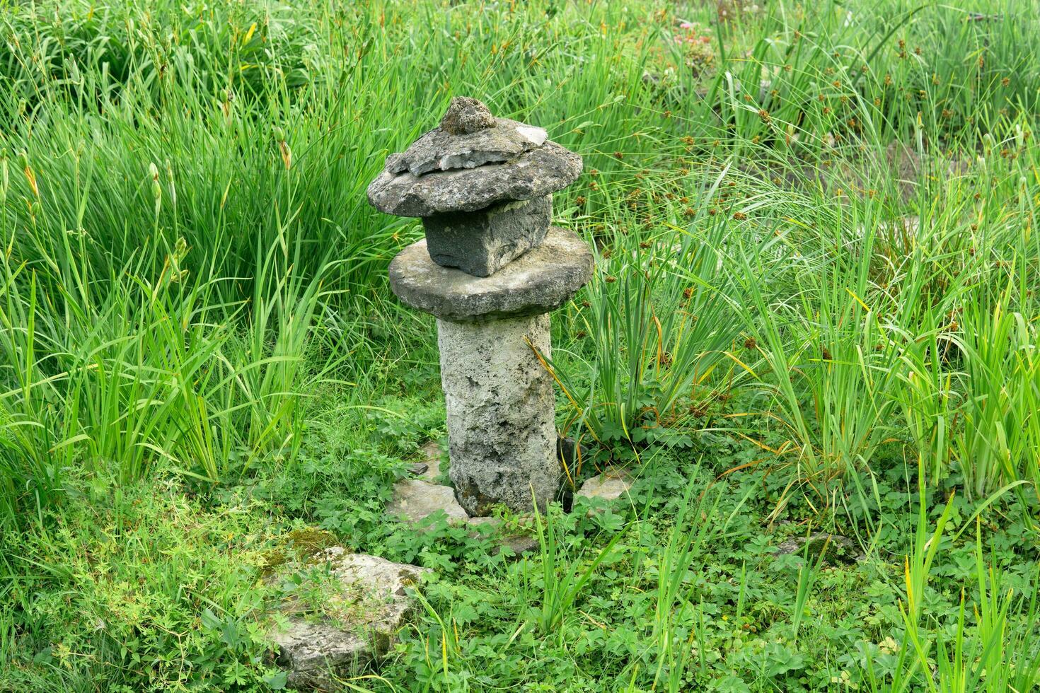 stone lantern among grass on the bank of a pond in a Japanese garden photo