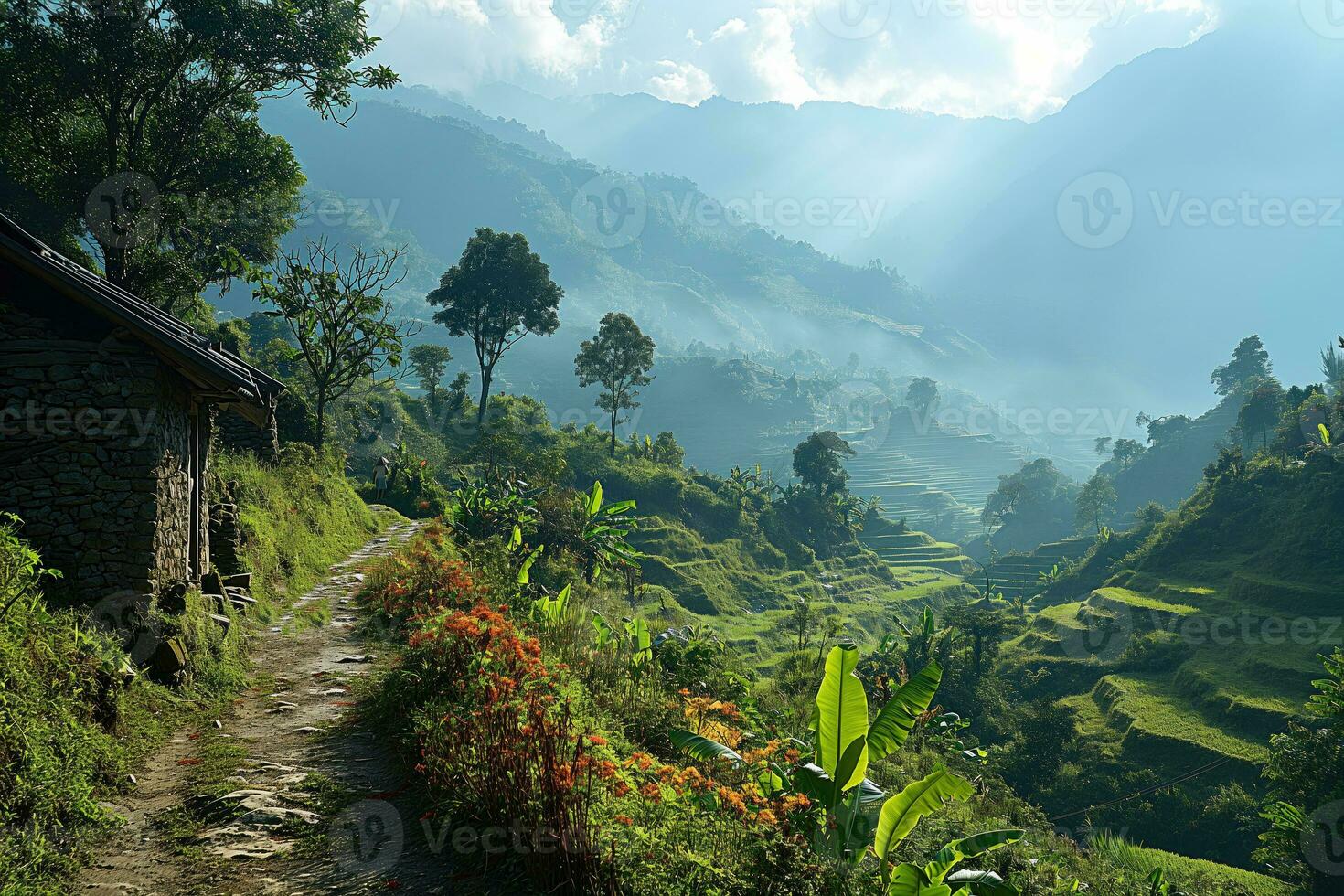 AI generated beautiful misty valley with terraced fields photo
