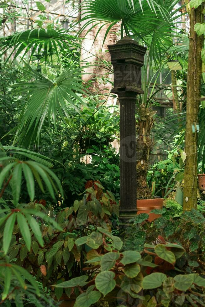 interior de un antiguo tropical invernadero con un antiguo emitir hierro columna entre el plantas foto