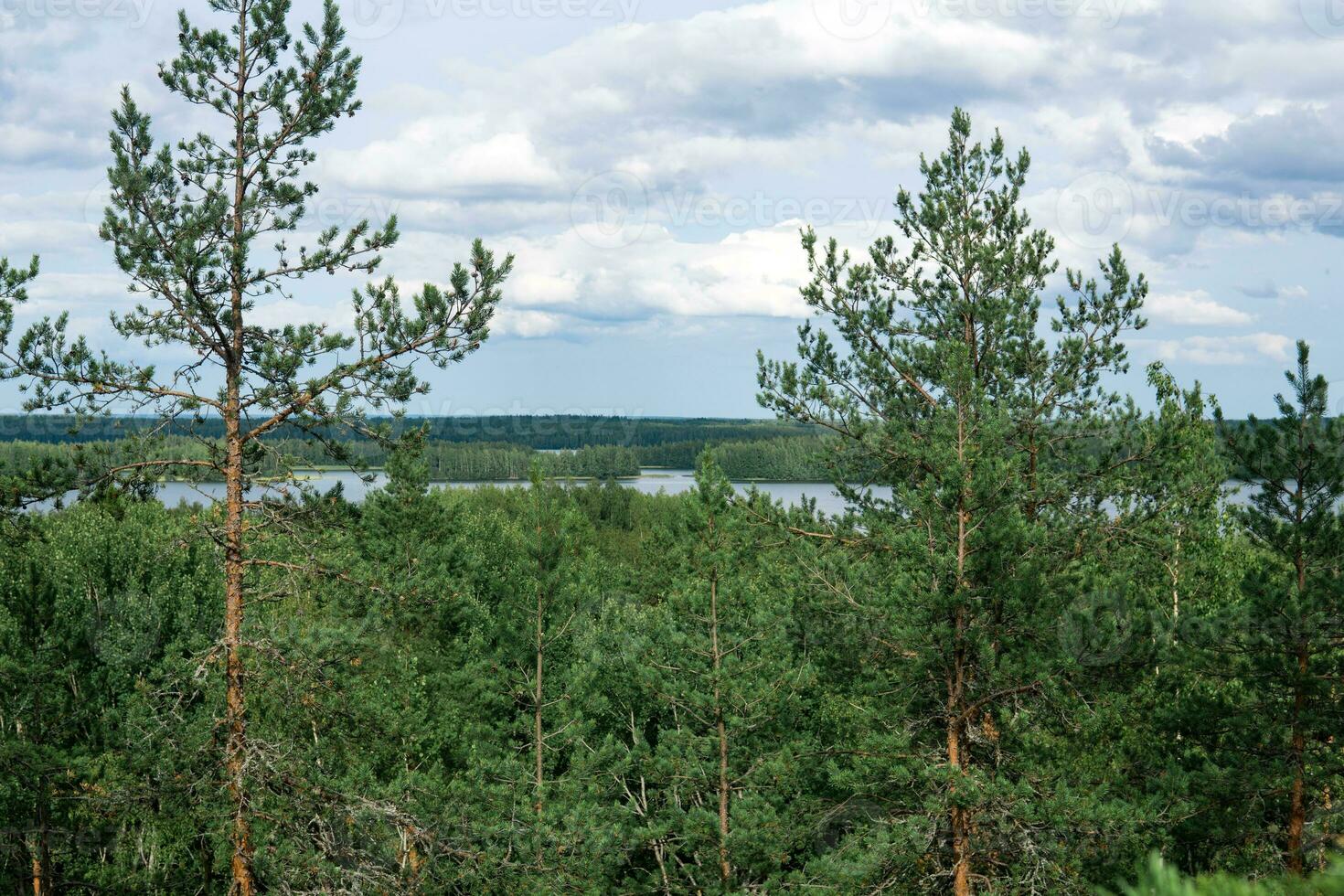 natural paisaje con bosque y lagos, aéreo ver foto