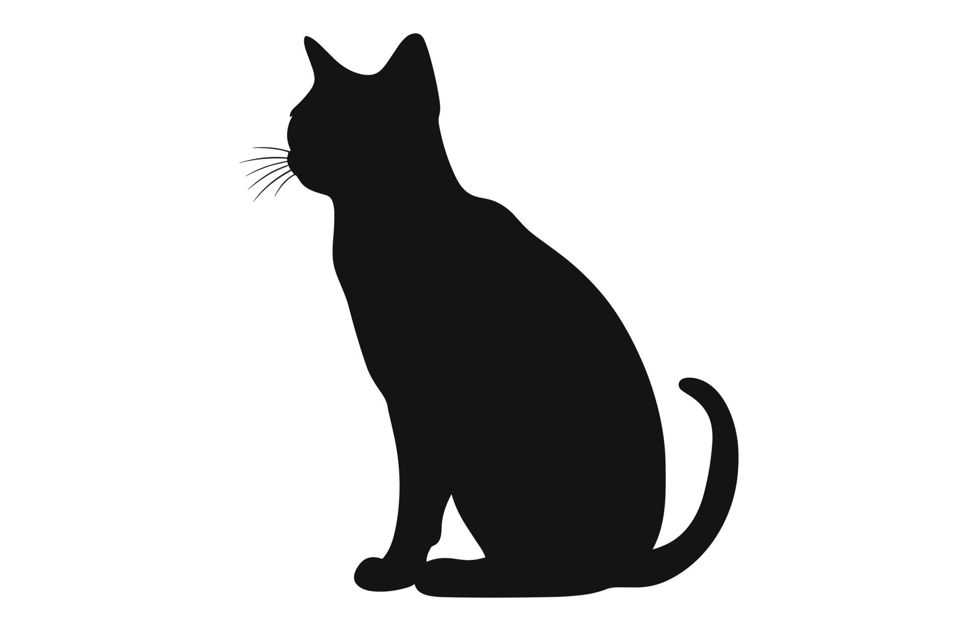 Burmese Cat black Silhouette Vector free 37011044 Vector Art at Vecteezy