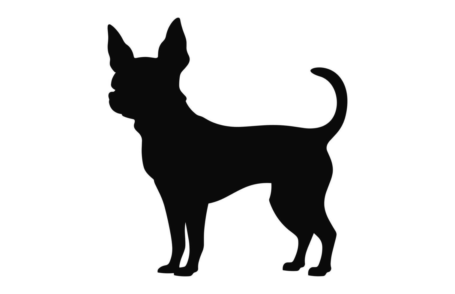 A Chihuahua Dog black Silhouette vector isolated on a white background