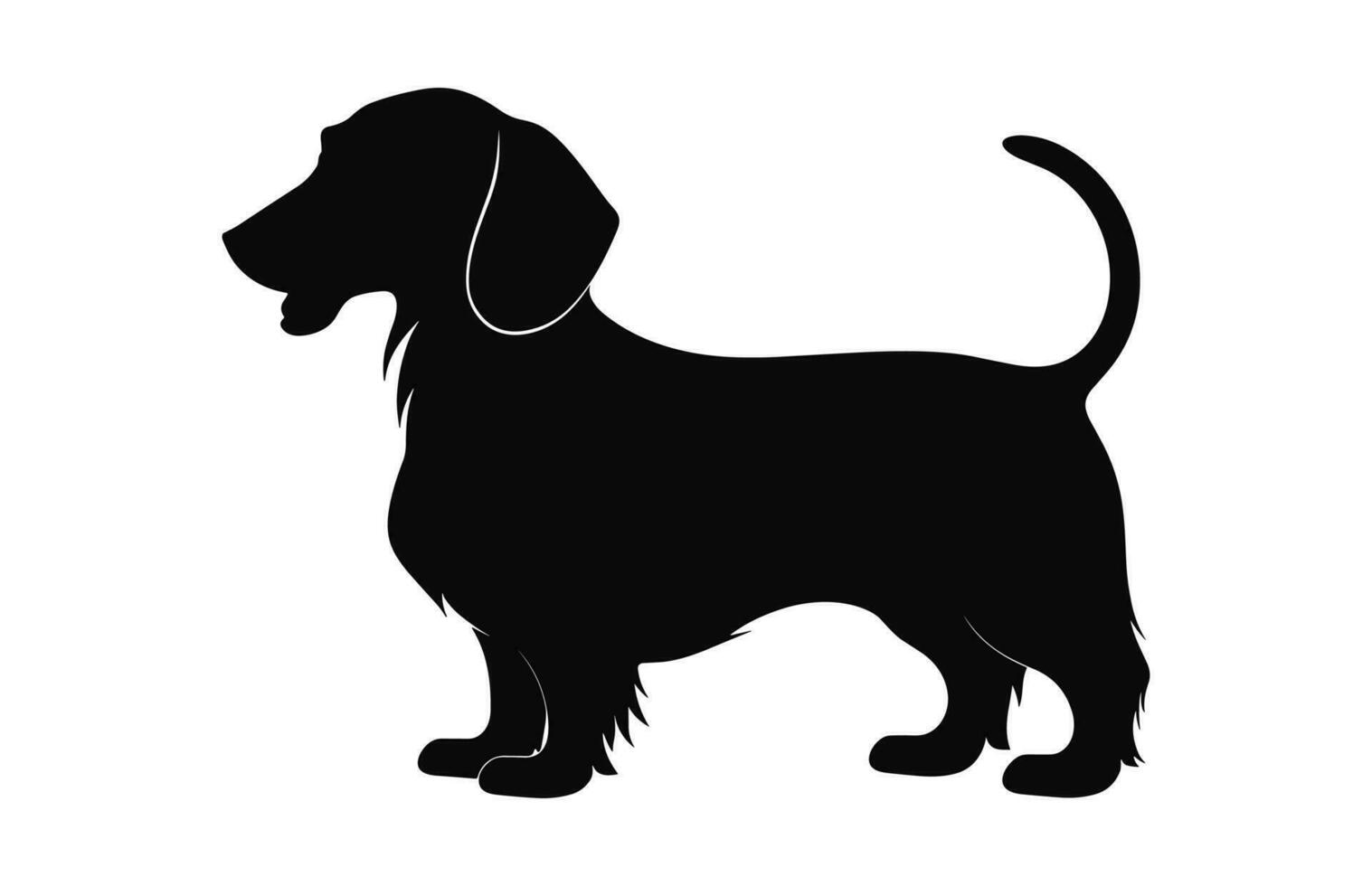 A Dachshund Dog black Silhouette vector isolated on a white background