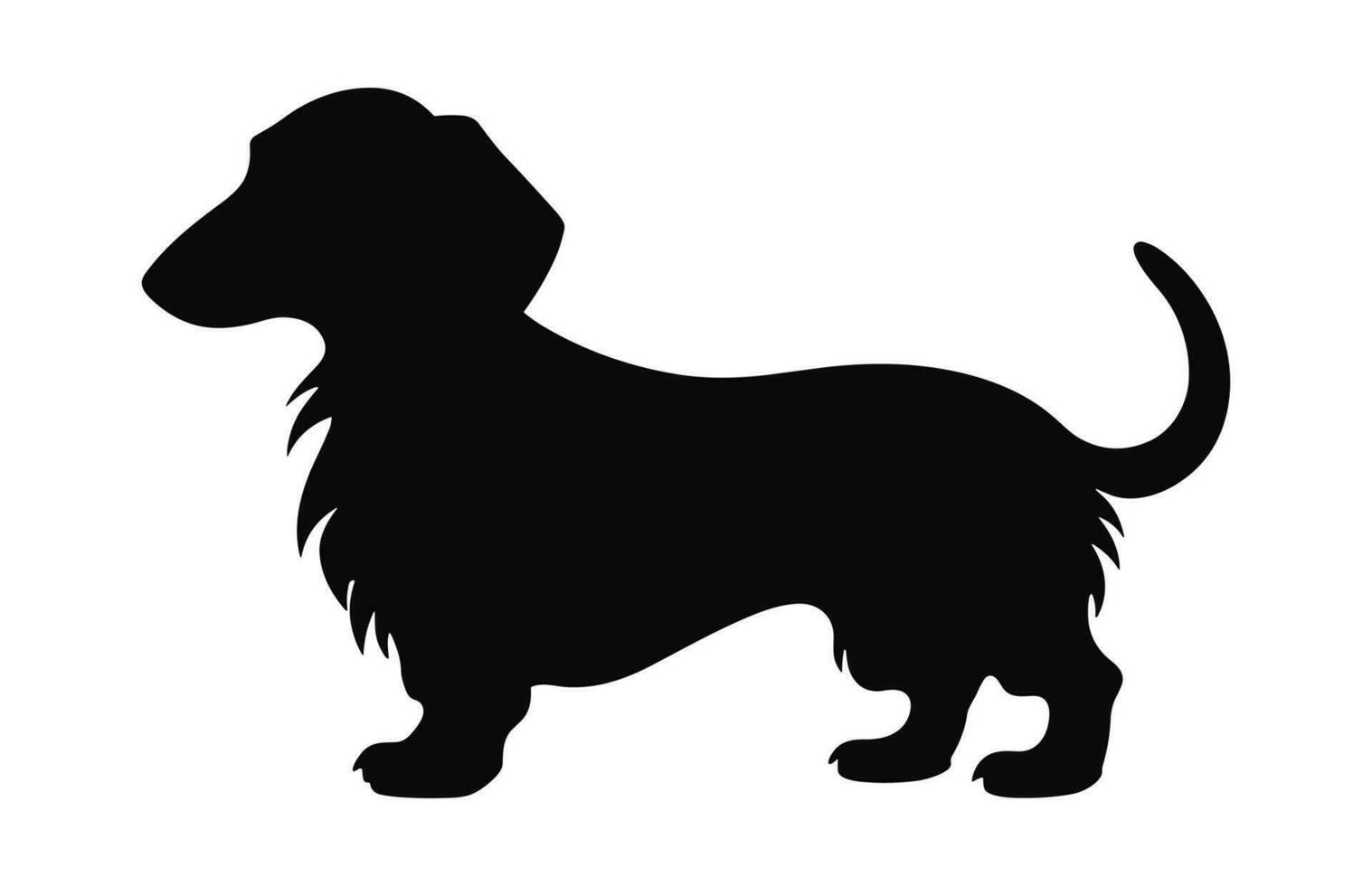 A Dachshund Dog black Silhouette vector isolated on a white background