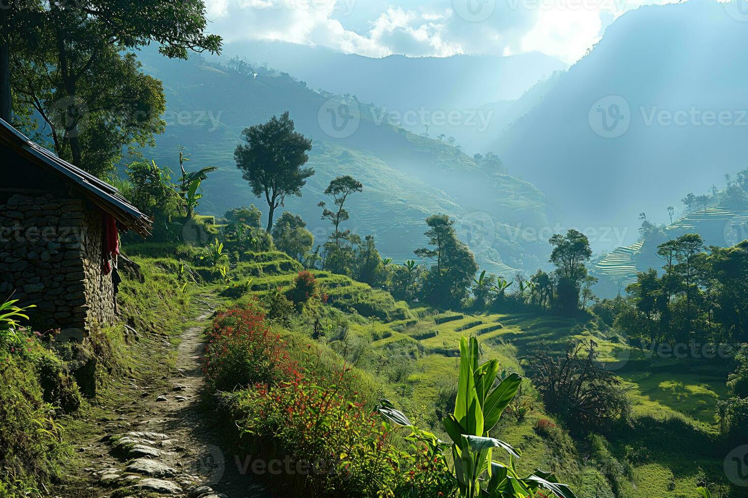 AI generated rocky path in tropical mountain valley with terraced fields photo