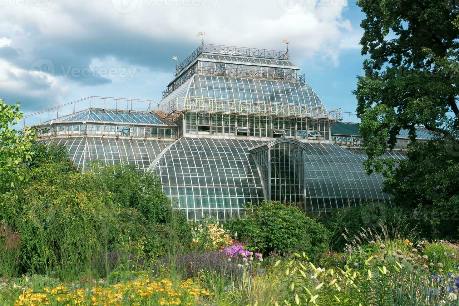 view of the Botanical Garden of St Petersburg with flower beds and an old palm greenhouse in the background photo