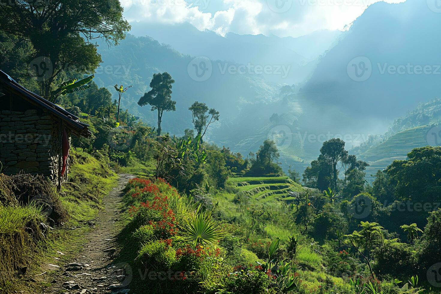 AI generated rocky path in tropical mountain valley with terraced fields photo