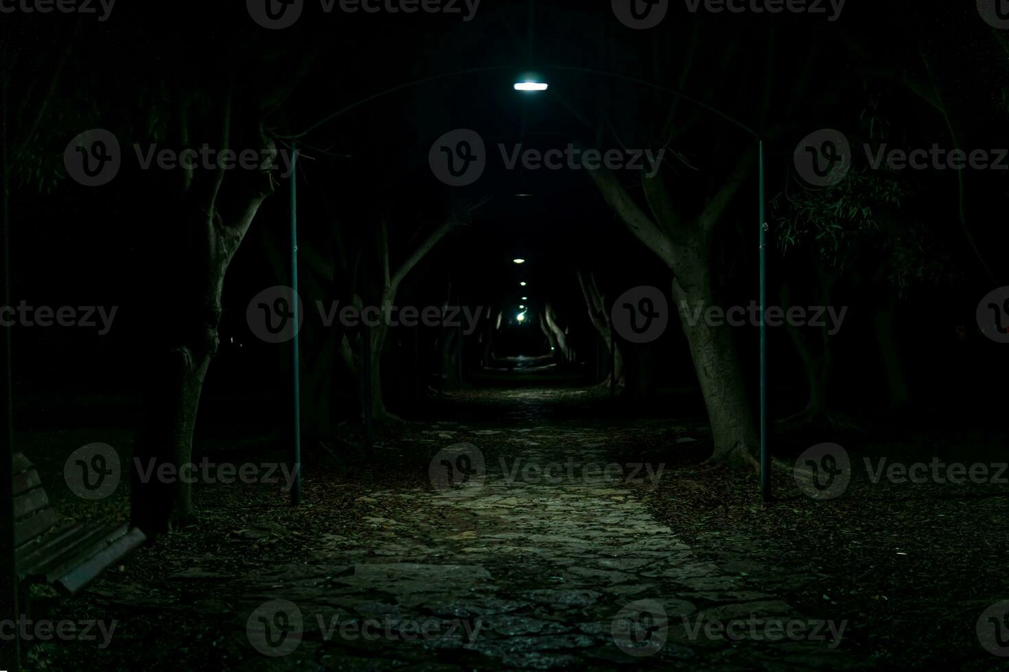 dark alley in the park, barely lit by the light of rare lanterns photo