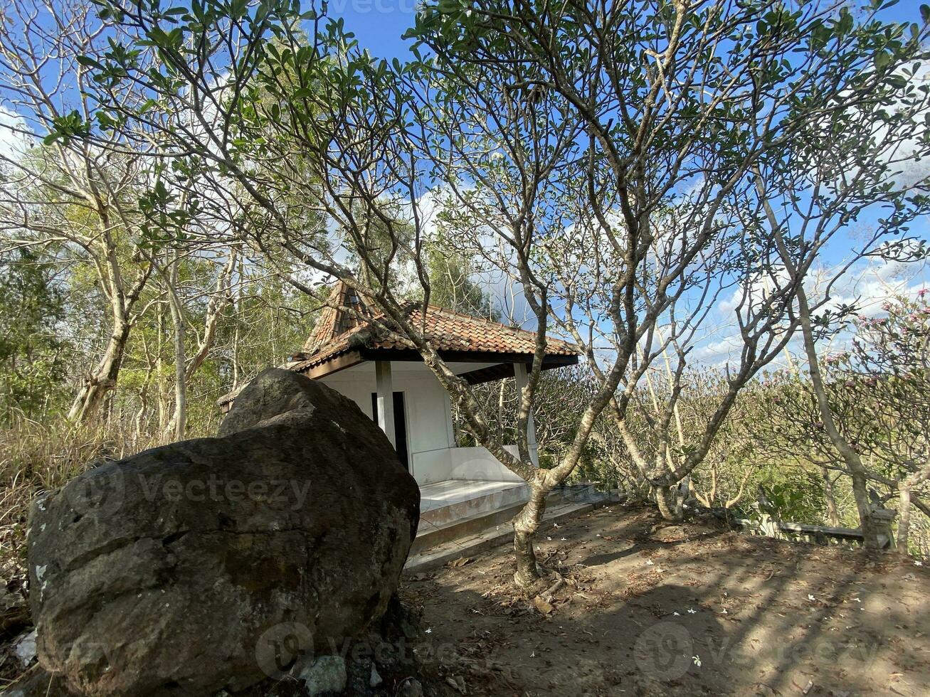 This is forest mahagoni in jogjakarta. In this forest many biodiversity and any old celemetery in here photo