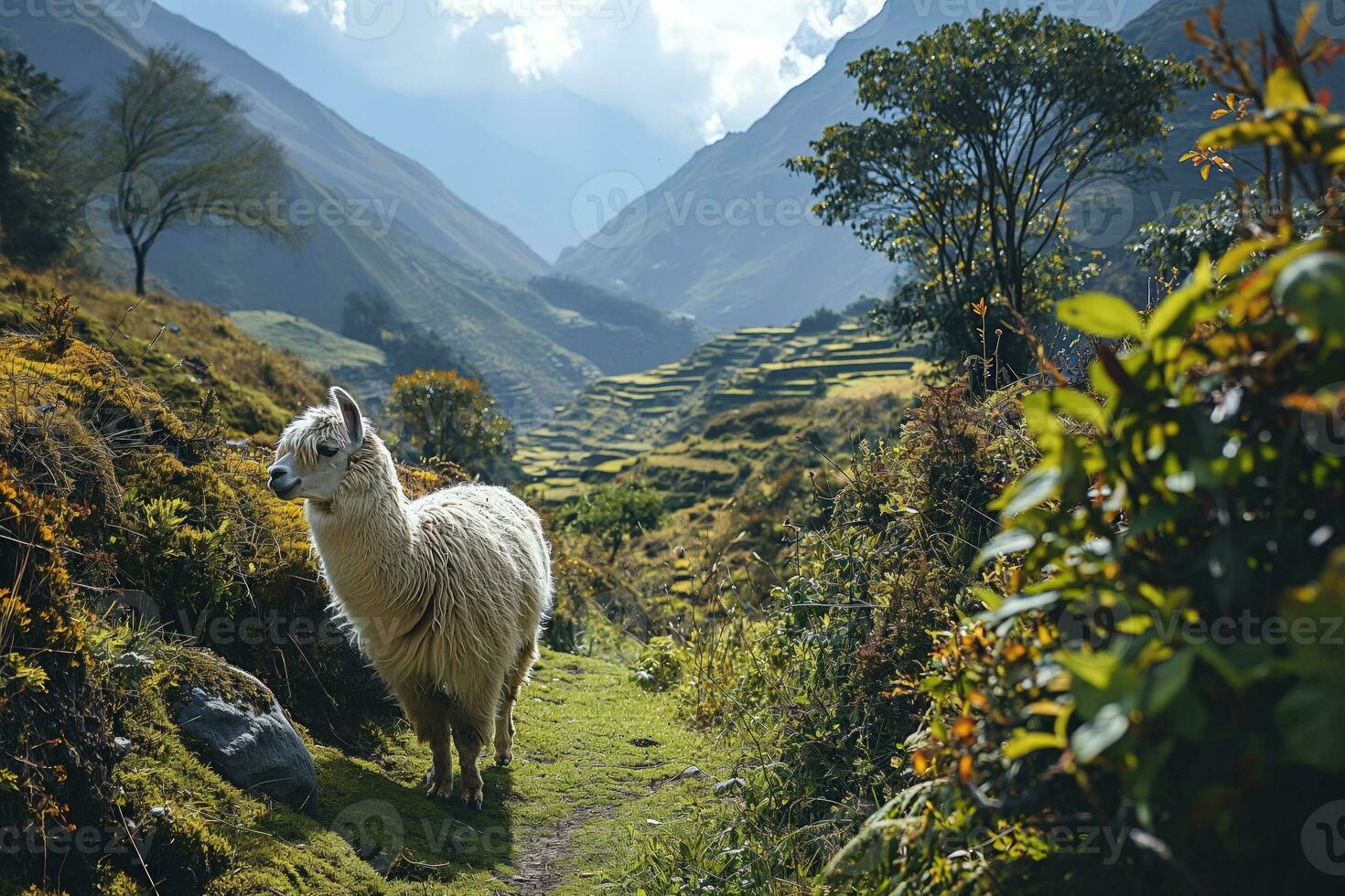 ai generado lama en contra el fondo de un Valle en el Andes con aterrazado campos foto