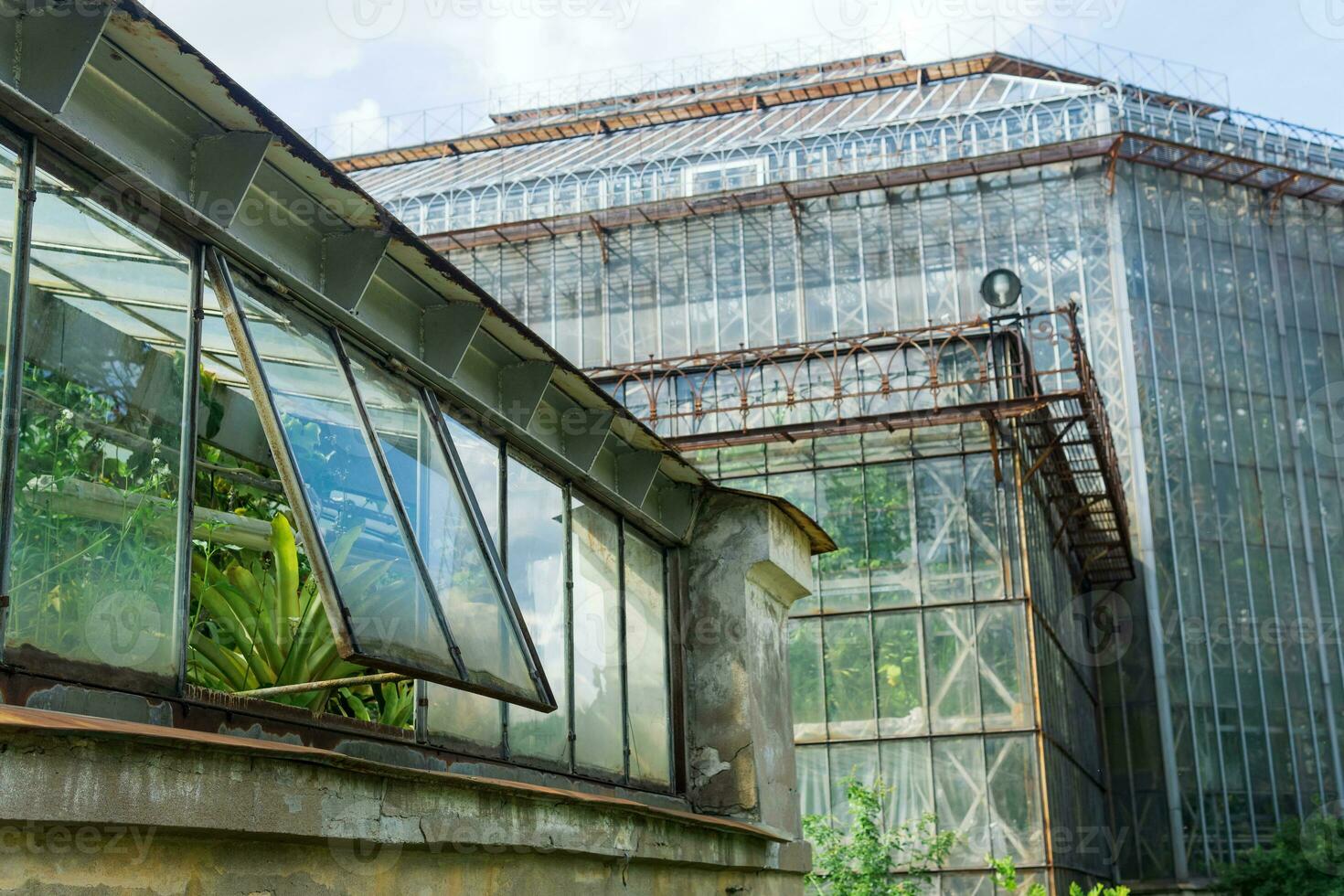 view of the glass walls and domes of a large vintage palm greenhouse photo