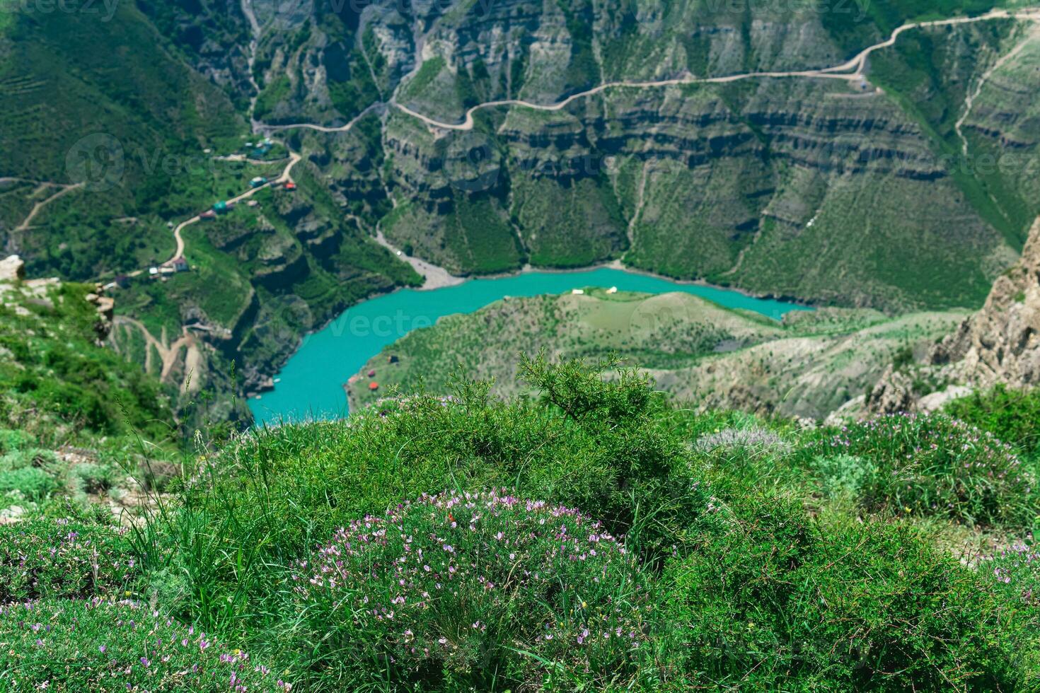 spring mountain landscape with blooming moss campion in the foreground and blurred blue river in the valley on the background photo