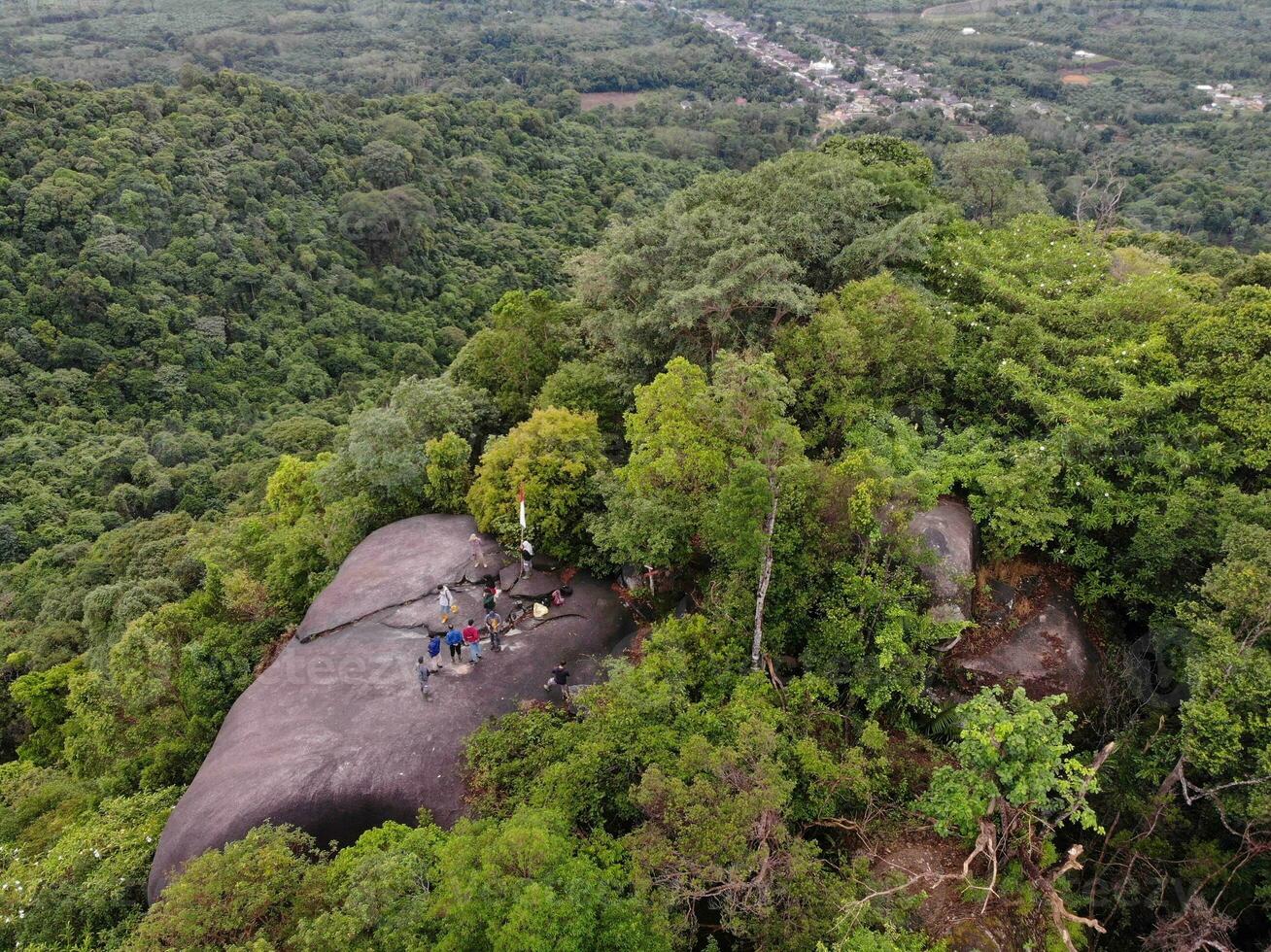 AI generated a forest with trees and a mountain in the background photo