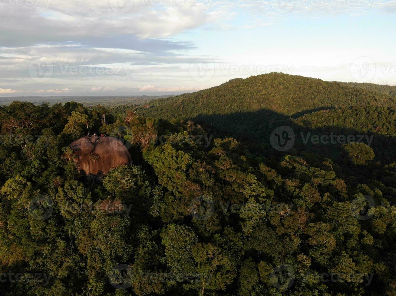 AI generated a forest with trees and a mountain in the background photo