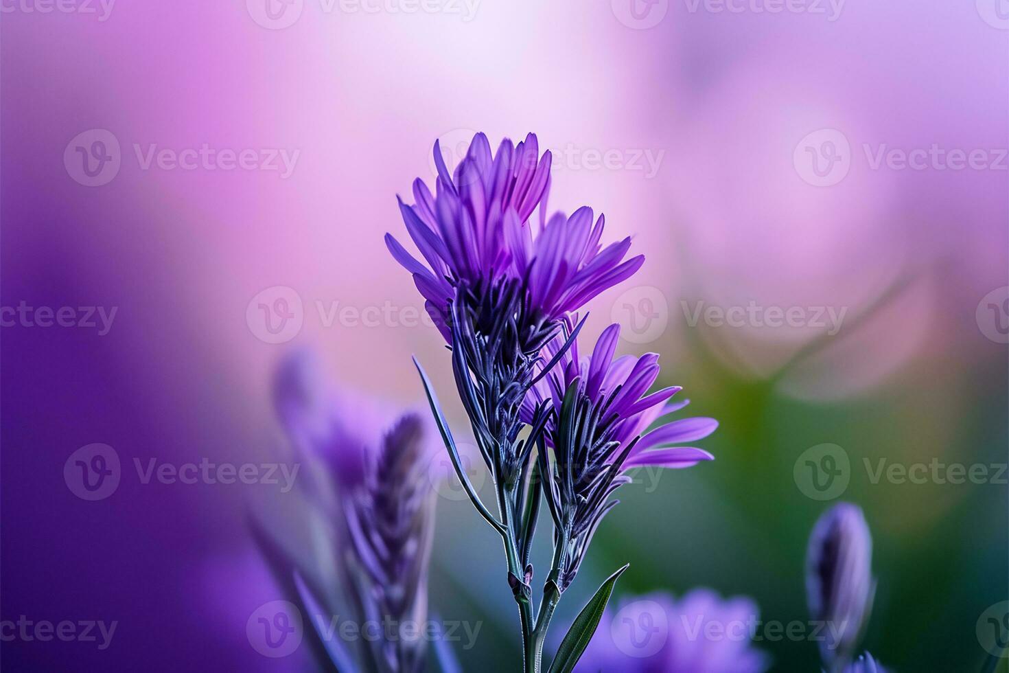 ai generado un cerca arriba de un púrpura flor con borroso antecedentes foto