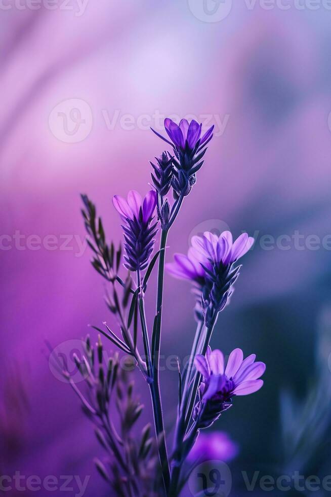 ai generado un cerca arriba de un púrpura flor con borroso antecedentes foto