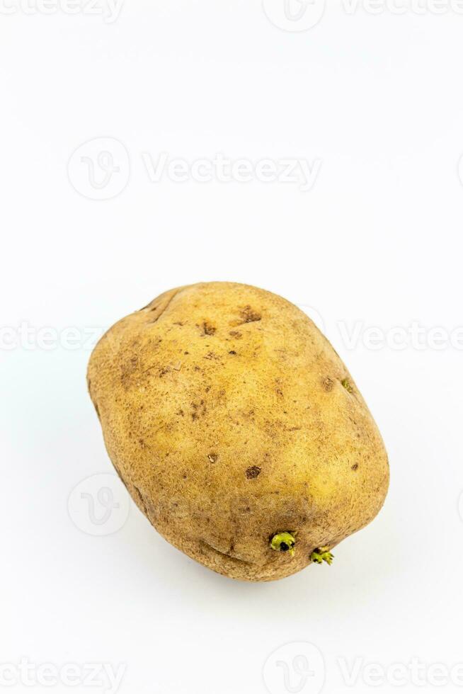 Potato isolated on white background. Close up of fresh potato. photo