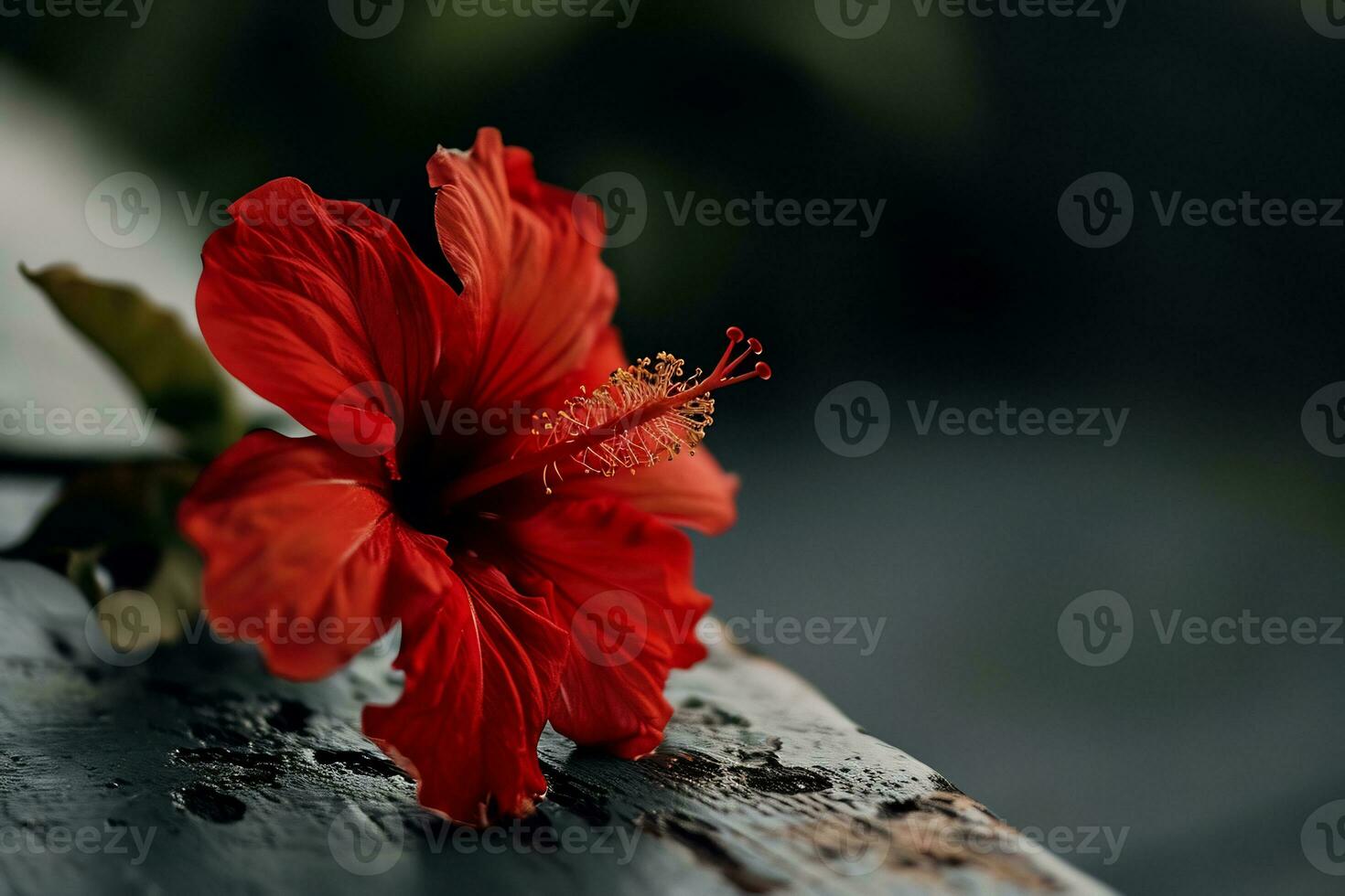 AI generated A red flower is sitting on top of table photo