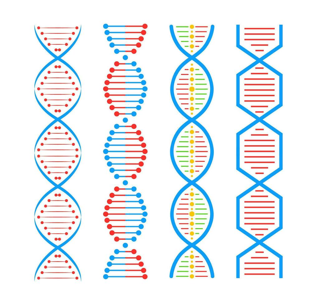 DNA structure Icon set. Structure molecule and cell, chromosome. Genetic engineering. Vector stock illustration