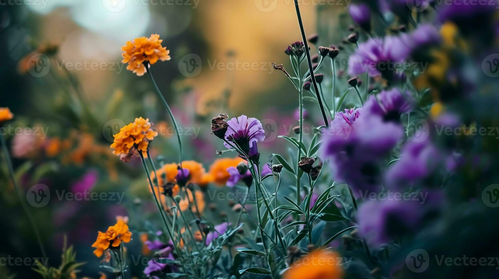 AI generated a blurry photo of purple and orange flowers