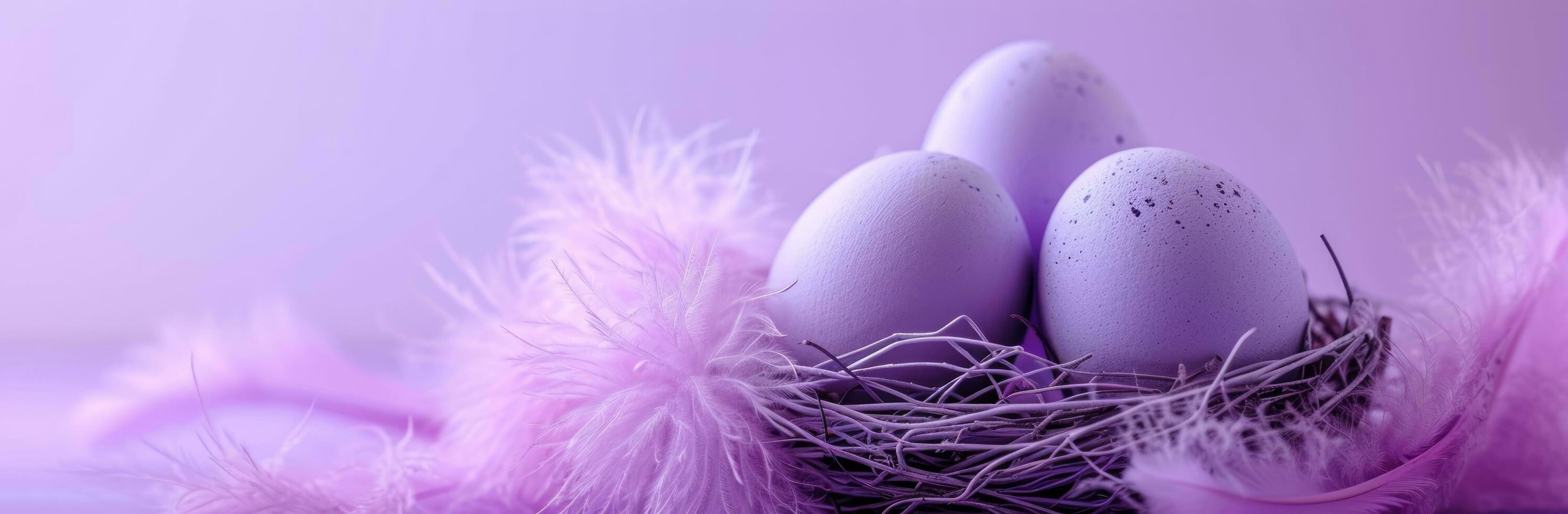 AI generated easter eggs with purple feathers in nest on purple background photo