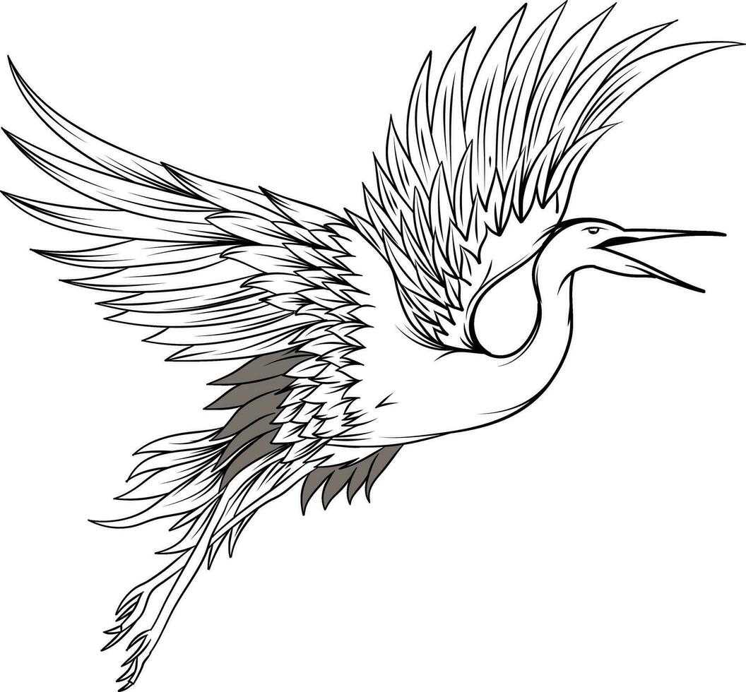 Crane Bird Line Art Illustration vector