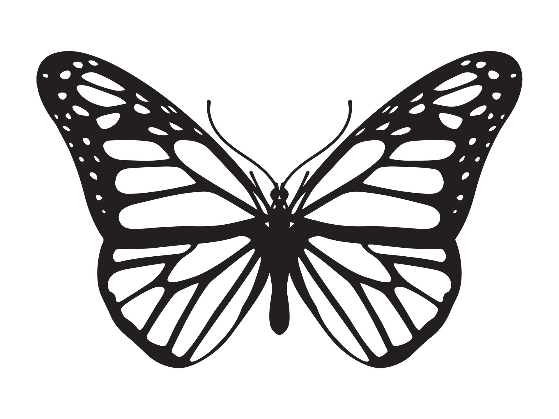 Butterfly icon, Black and White Butterfly with open wings on white