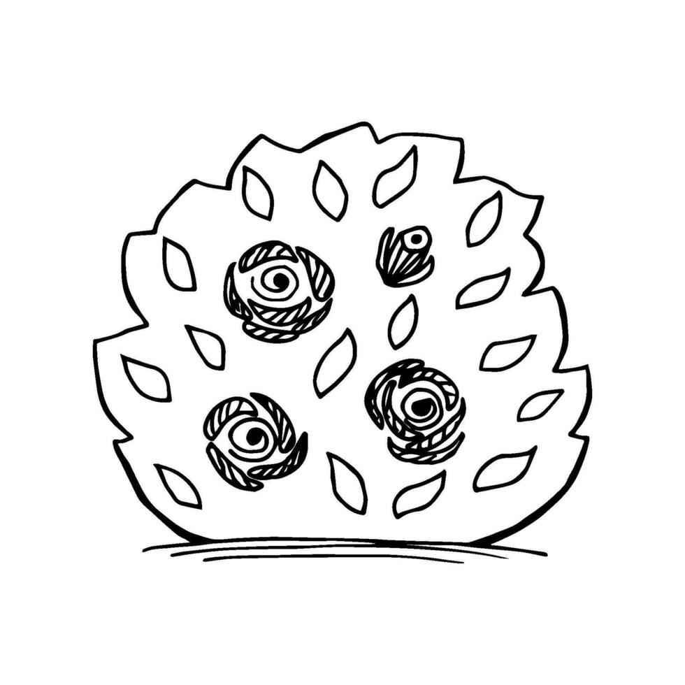 Hand-drawn simple vector illustration in black outline. A bush of rose flowers with leaves. Garden plant, landscaping, nature.