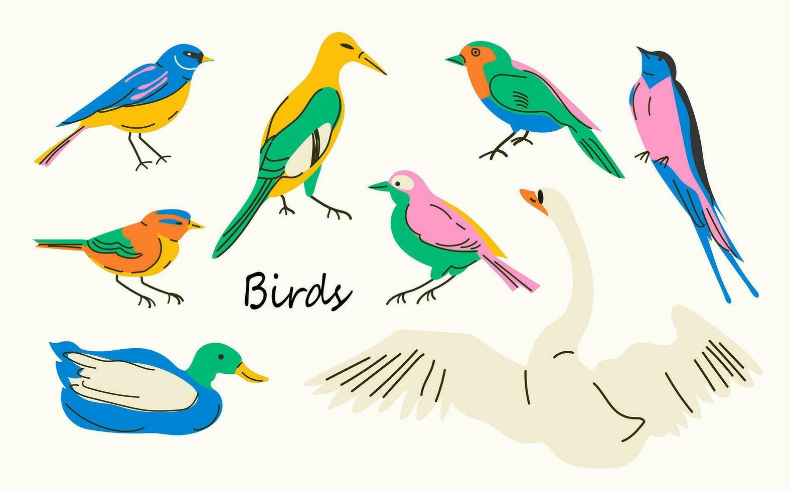 Birds collection. Colorful hand-drawn bird. Set of spring birds. Different birds. Images are isolated on white. Vector illustration.