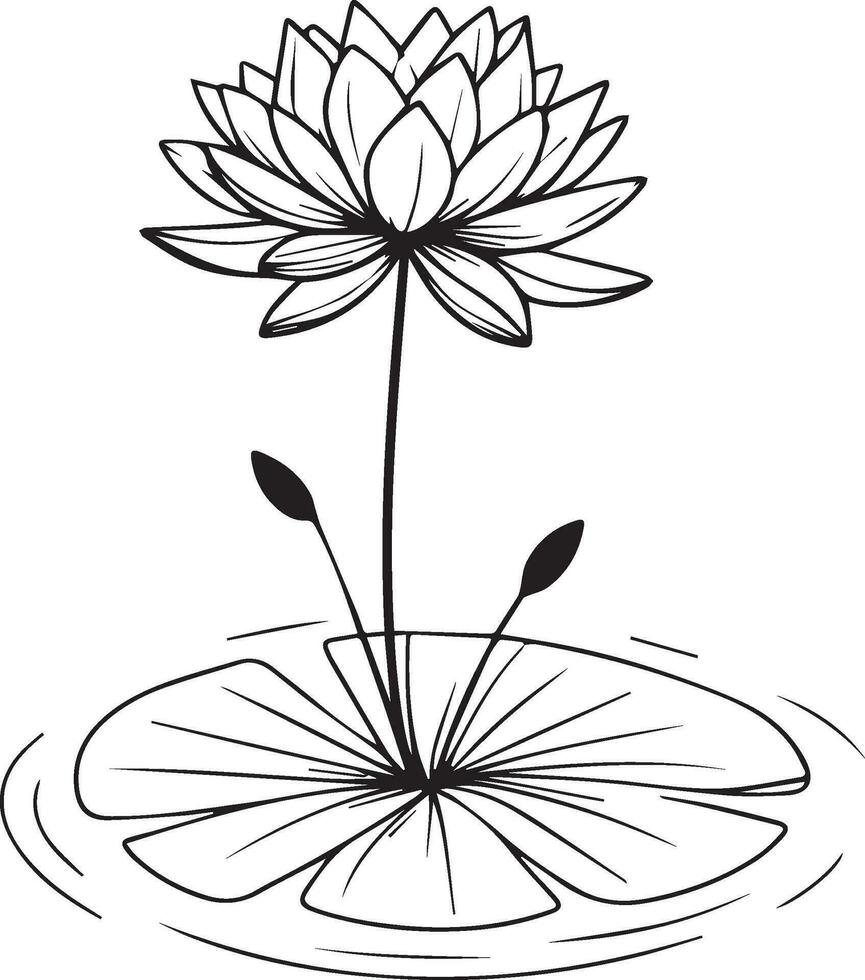 Topicial waterlily coloring pages. waterlily line art, waterlily tattoo designs, Realistic flower coloring pages, lotus vector sketch, traditional waterlily tattoo, Nymphaea water lily tattoo