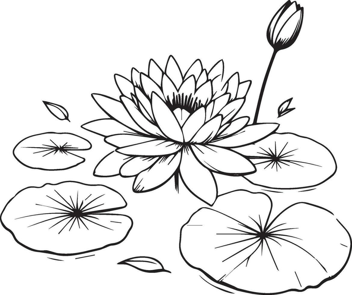 Waterlily line drawings, hand painted waterlily wall art, Campanule Clochette botanical wall art, simple bluebell drawing, waterlily stock outline drawing, lotus line art, hand drawn waterlily art vector